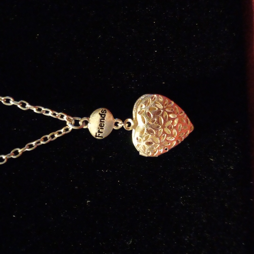 Claire's locket friends necklace 20" chain